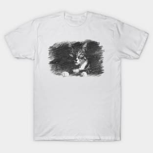 Cat Graphic T-Shirt